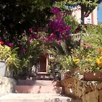 Koknar