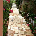 Koknar Kaş