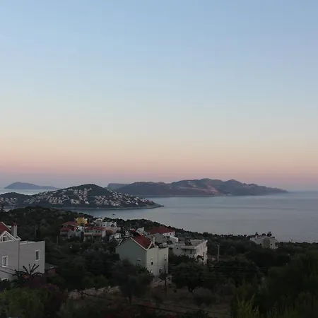 Koknar * Kaş