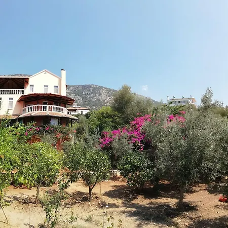 Koknar Gæstehus Kaş