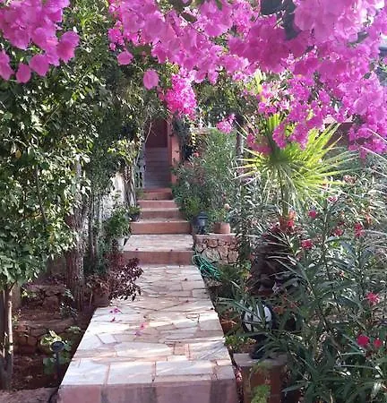 Koknar Gæstehus Kaş