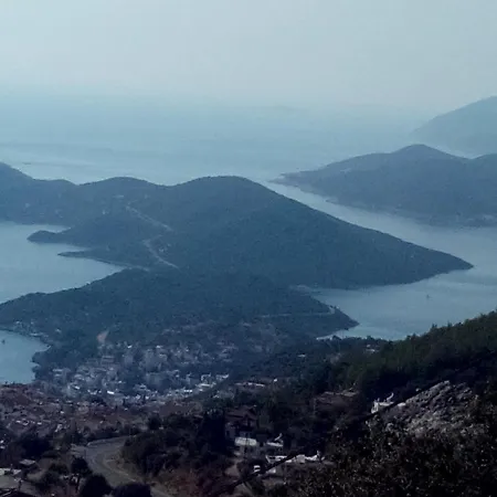 Koknar * Kaş