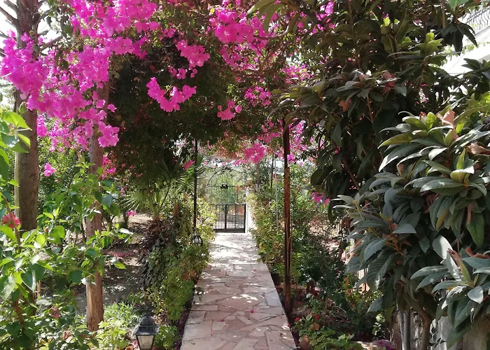 Affittacamere Koknar