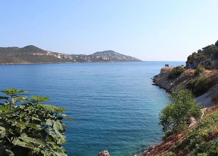 Koknar Affittacamere