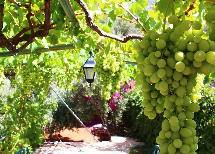 Affittacamere Koknar *