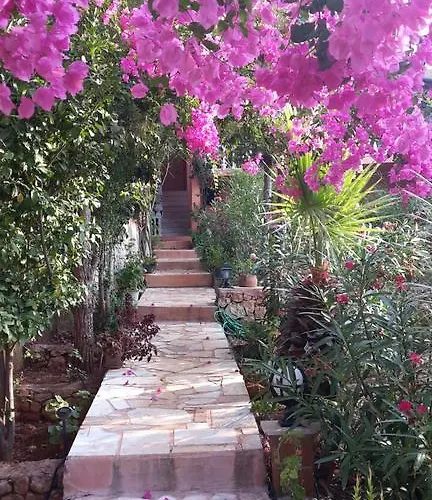 Koknar Affittacamere Kaş