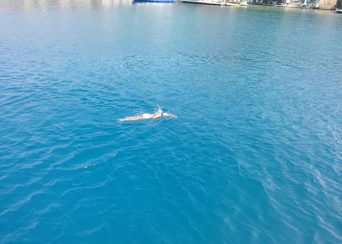 Koknar Affittacamere