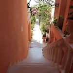 Koknar