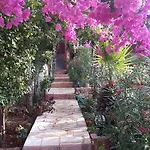 Koknar Gasthof Kaş