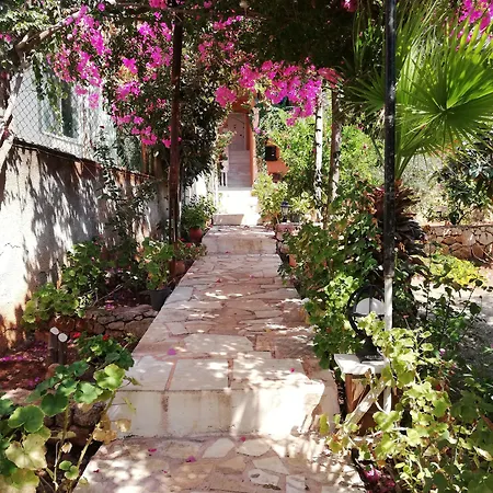 Pensjonat Koknar Kaş