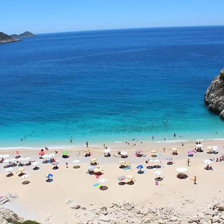 Koknar * Kaş