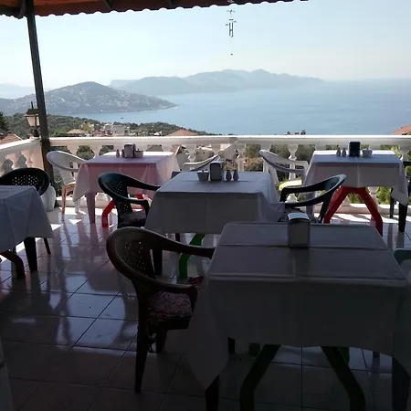 Koknar Kaş