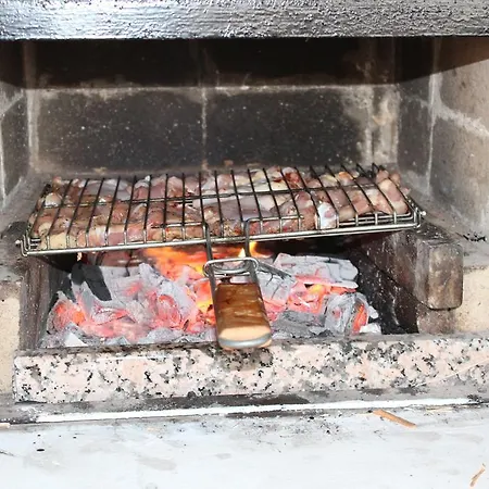 Koknar Kaş