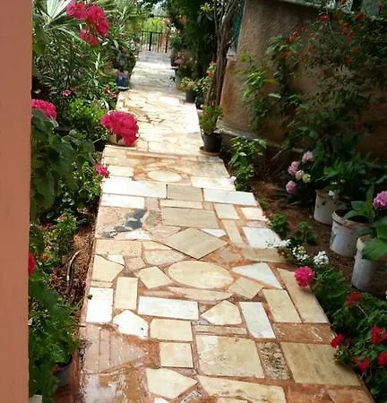 Koknar Kaş